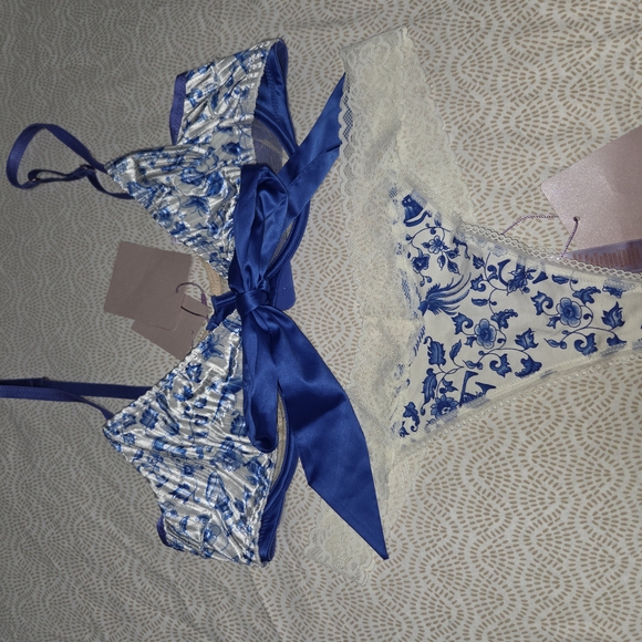 NWT Savage X Fenty Blue and White Lingerie Bra Size 36D, Panties M - Picture 7 of 9